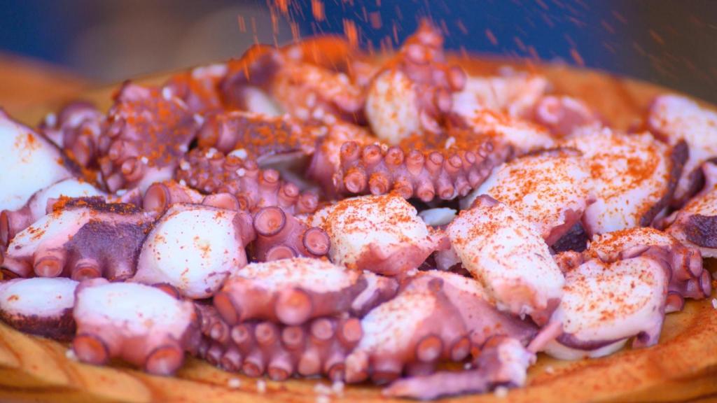 Plato de pulpo