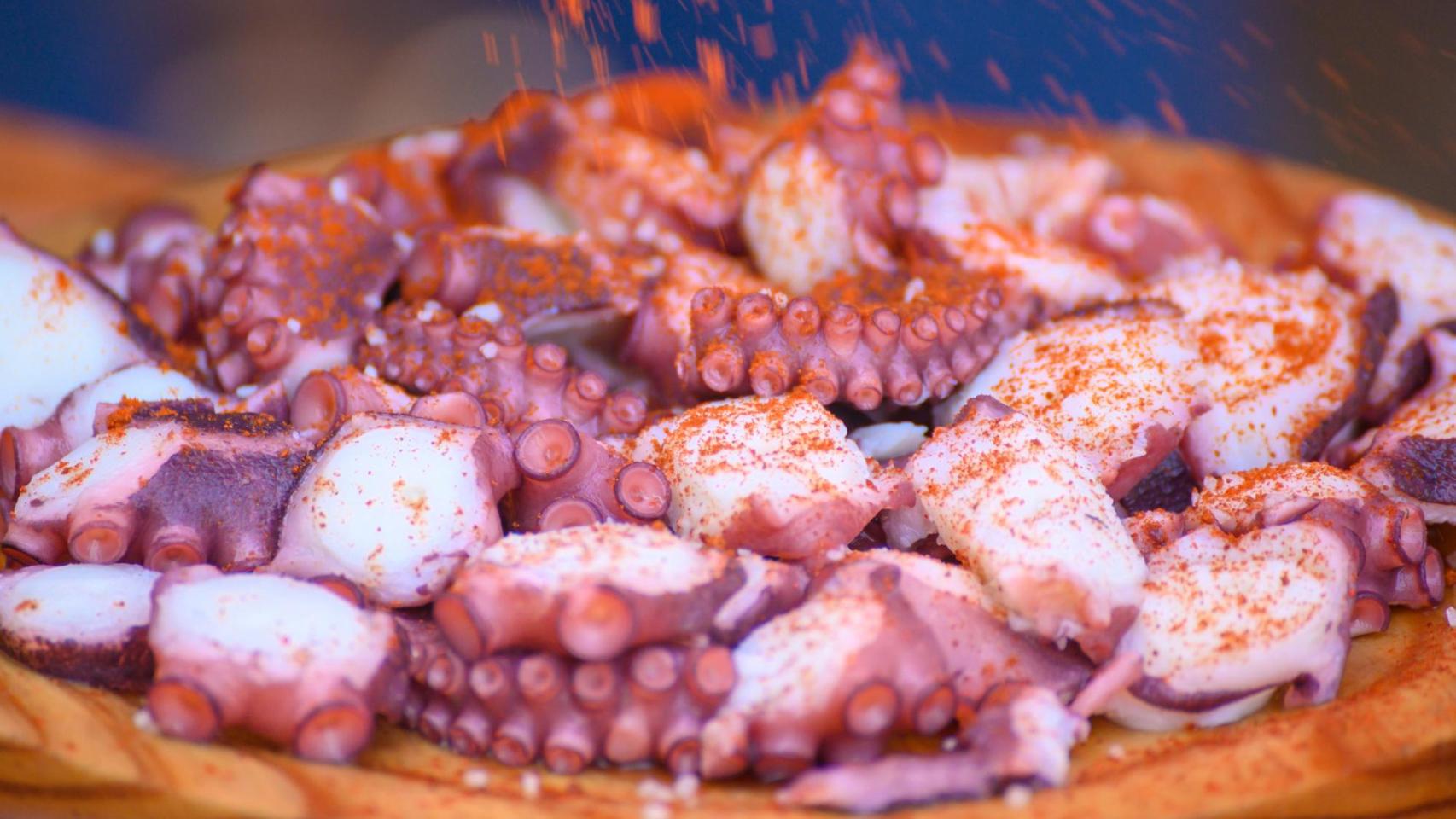 Plato de pulpo