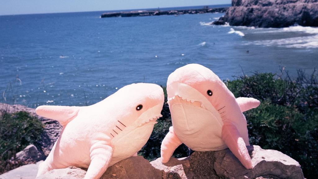 La nueva campaña de Shark Events para promocionar el verano