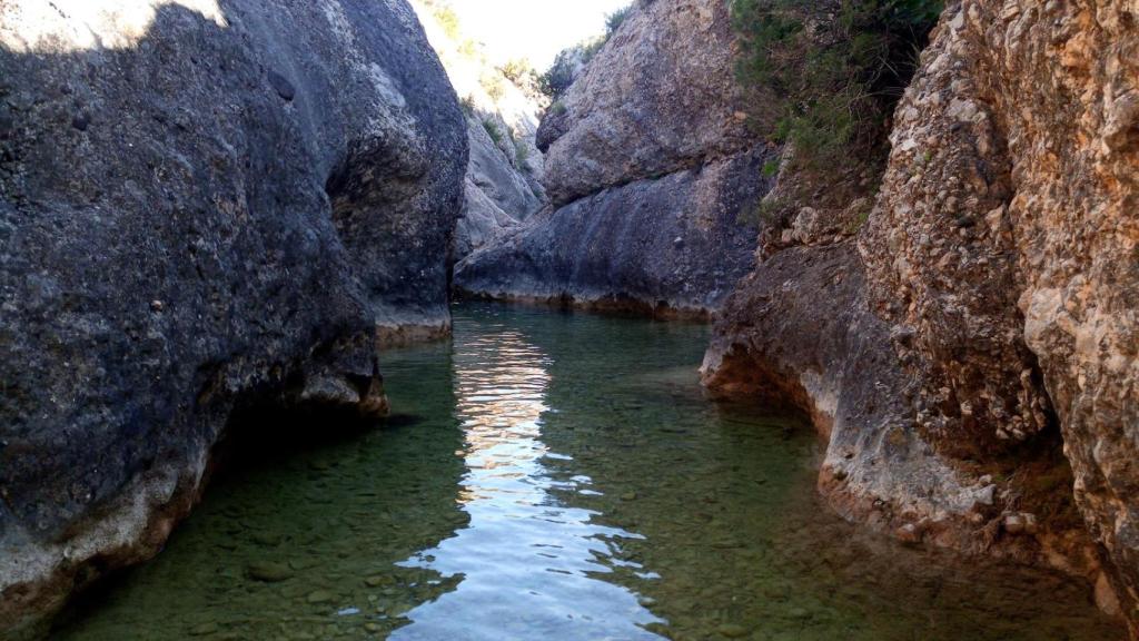 Las basses de Tòrrec