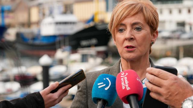 La consejera de Desarrollo Econmico, Arantxa Tapia / Irekia