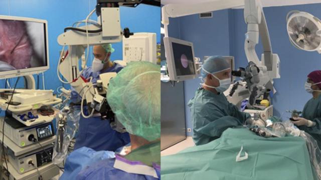 El doctor Carlos Saga durante una intervencin de sialoendoscopia en Policlnica Gipuzkoa / QUIRNSALUD