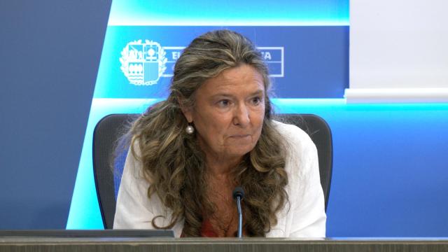 La consejera de Salud del Gobierno vasco, Gotzone Sagardui. / Irekia