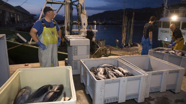Arrantzales vascos faenando en la campaa del bonito. / IREKIA