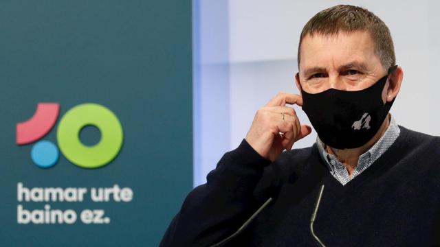 El coordinador general de EH Bildu, Arnaldo Otegi. / EFE