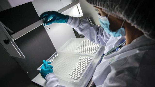 Estas son las empresas espaolas que participan en el desarrollo de vacunas contra la covid 19. / INSUD PHARMA