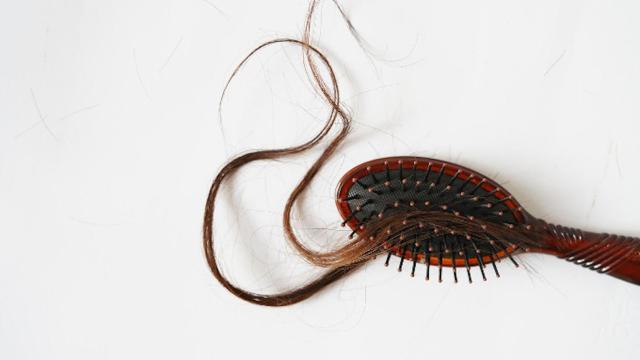 Restos de cabello en un peine: la cada del pelo tras el Covid puede tener como causa el efluvio telgeno / QUIRONSALUD