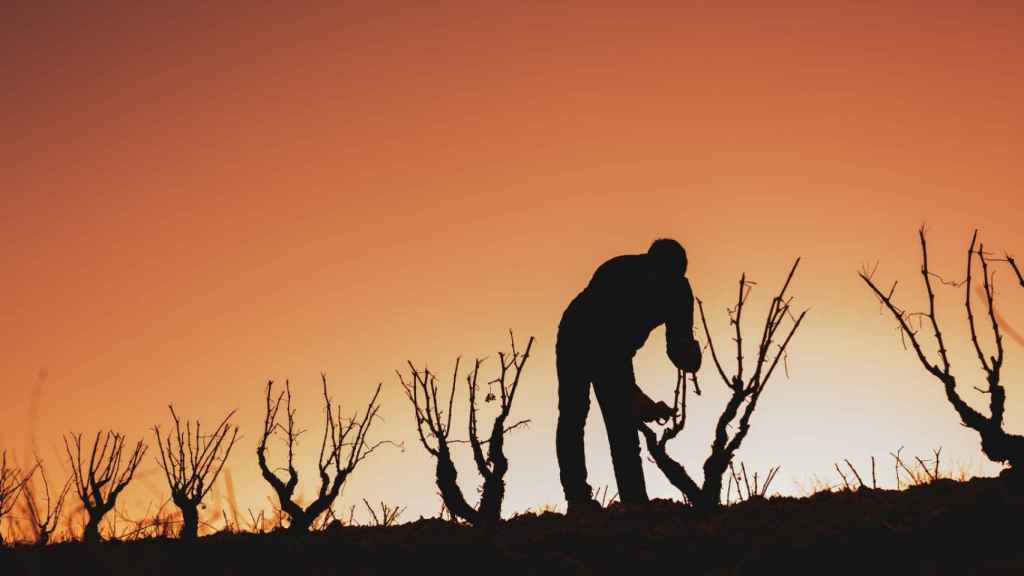 El anuncio de establecer aranceles para las bebidas alcohólicas procedentes de Europa preocupa al sector bodeguero.