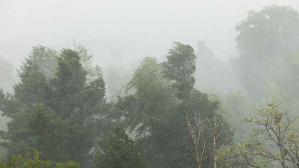 Fuertes vientos y cambio drástico en las temperaturas de Euskadi.