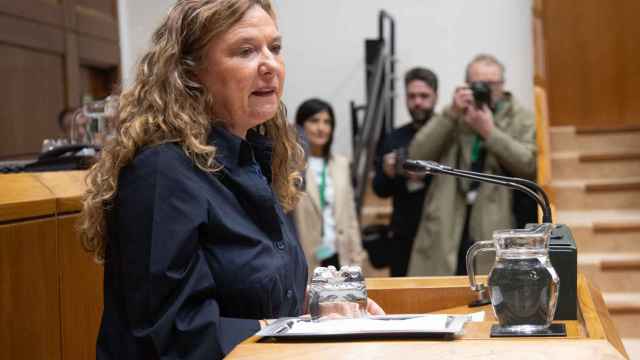 La consejera de Salud, Gotzone Sagardui, durante el pleno donde se ha aprobado la Ley de Salud Pública de Euskadi / Legebiltzarra