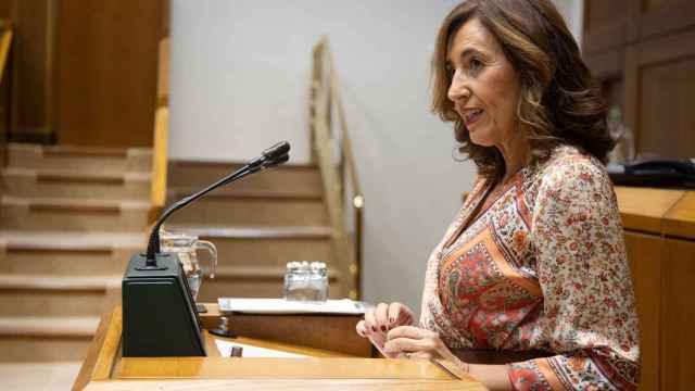 La consejera de Gobernanza Pública y Autogobierno, Olatz Garamendi, en un pleno de control / Legebiltzarra