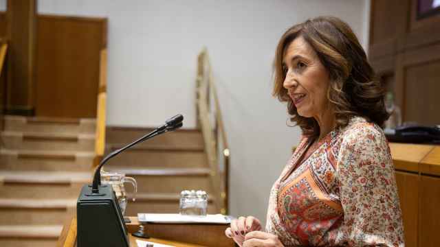 La consejera de Gobernanza Pública y Autogobierno, Olatz Garamendi, en un pleno de control / Legebiltzarra