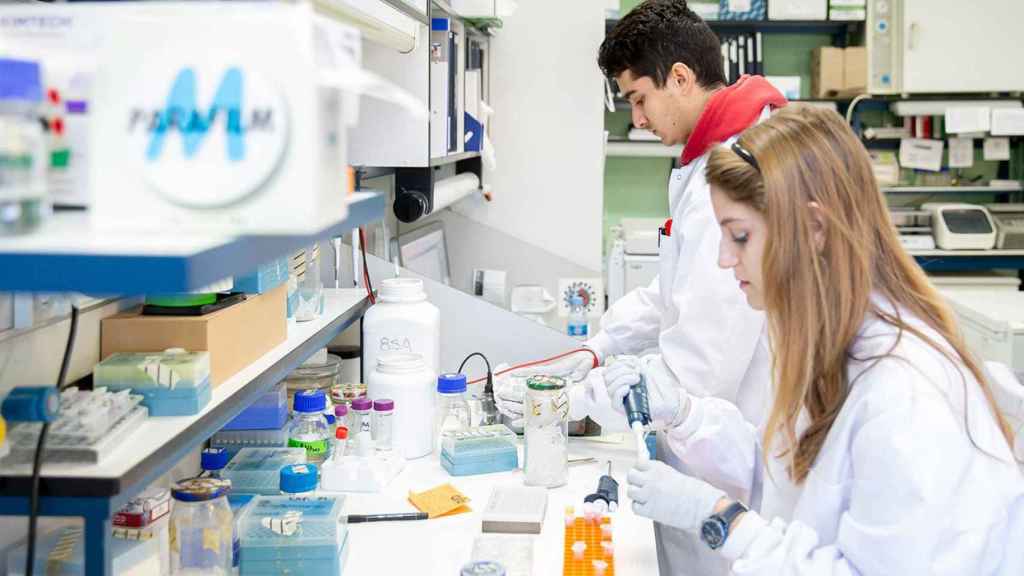 Trabajadores en I+D+i
