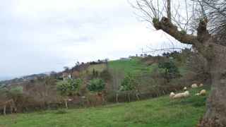 El chalet de Xabi Alonso, desde otra perspectiva.