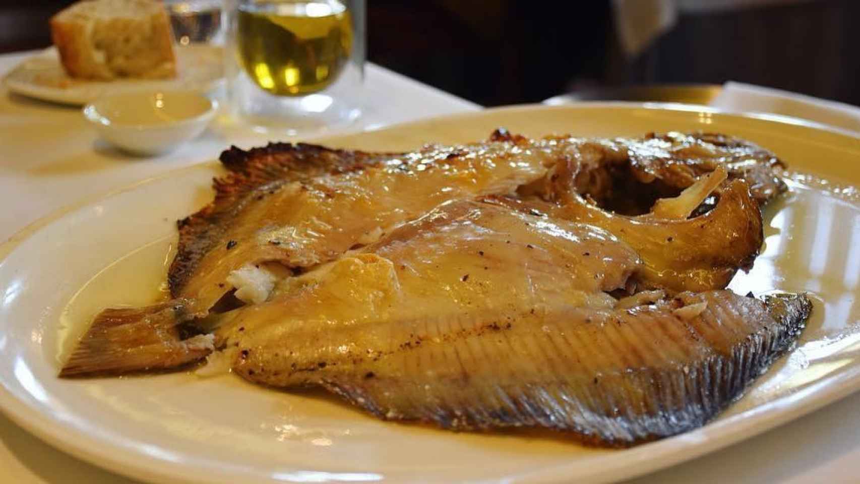 Rodaballo. 