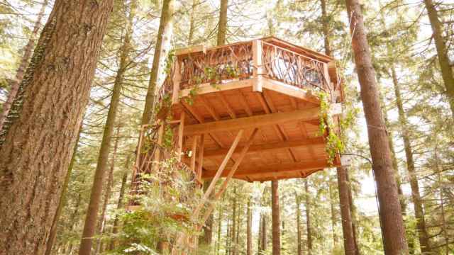 Cabaña de árbol Amalur, en Euskadi.