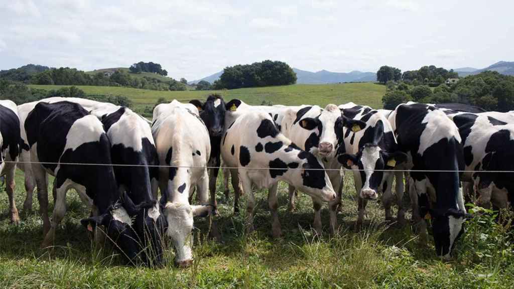 Kaiku se configuró como cooperativa en la década de los 50.