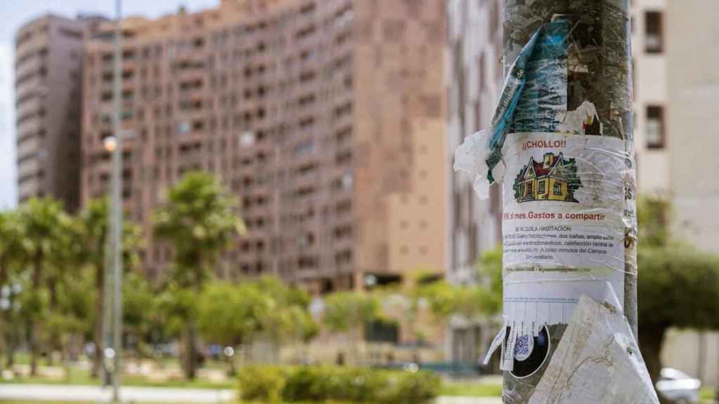 Anuncio de piso de alquiler.