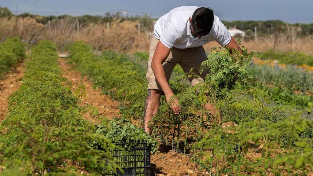 Agricultor joven de archivo/EFE