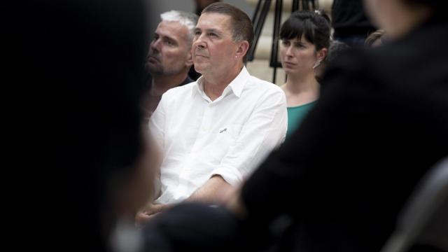 El coordinador general de EH Bildu, Arnaldo Otegi / JUAN HERRERO - EFE