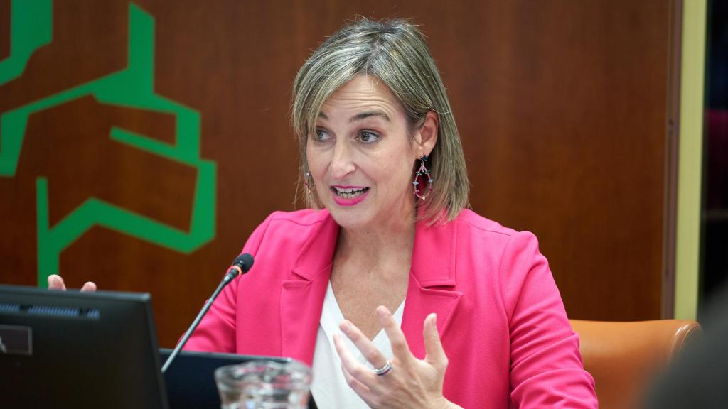 La consejera de Gobernanza, Administración Digital y Autogobierno, María Ubarretxena / L. RICO - EFE