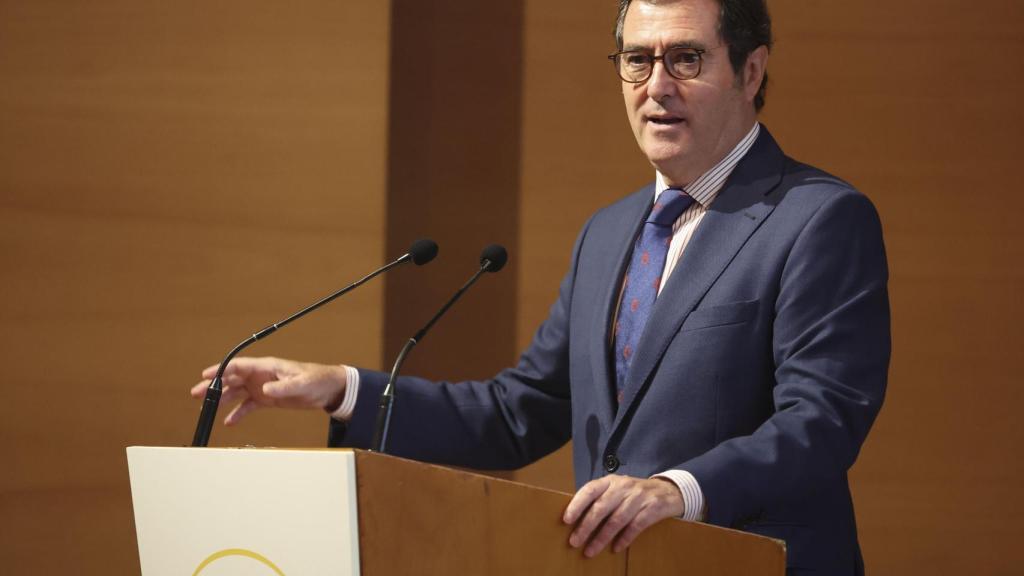 El presidente de la CEOE, Antonio Garamendi / LUIS TEJIDO - EFE