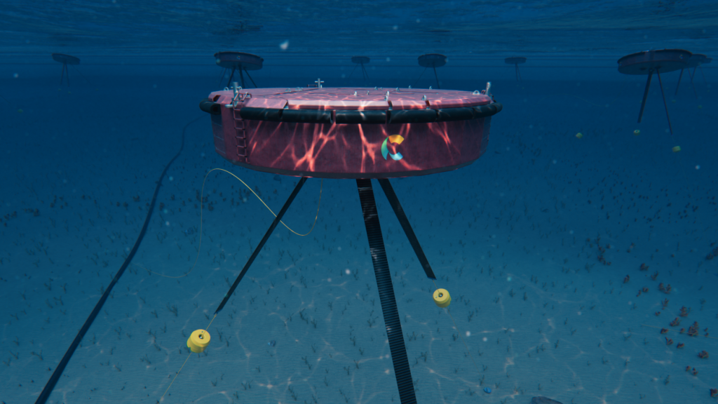 Prototipo Ceto de Carnegie