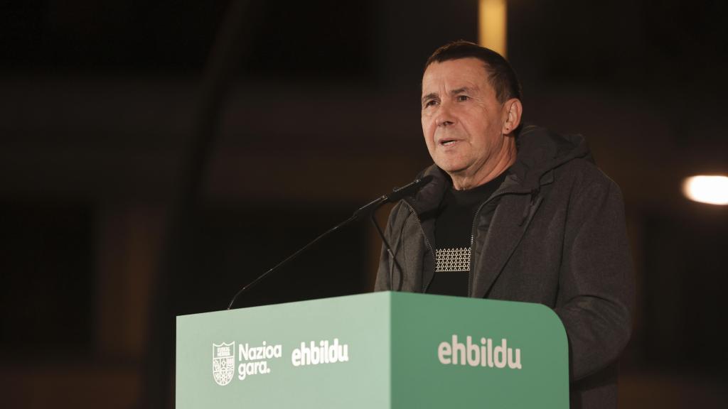 El coordinador general de Bildu, Arnaldo Otegi / LUIS TEJIDO - EFE
