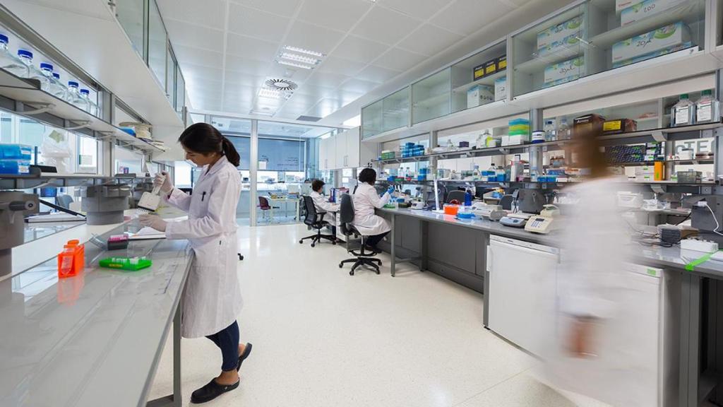 Varias empleadas de VIVEBiotech, durante una jornada laboral.