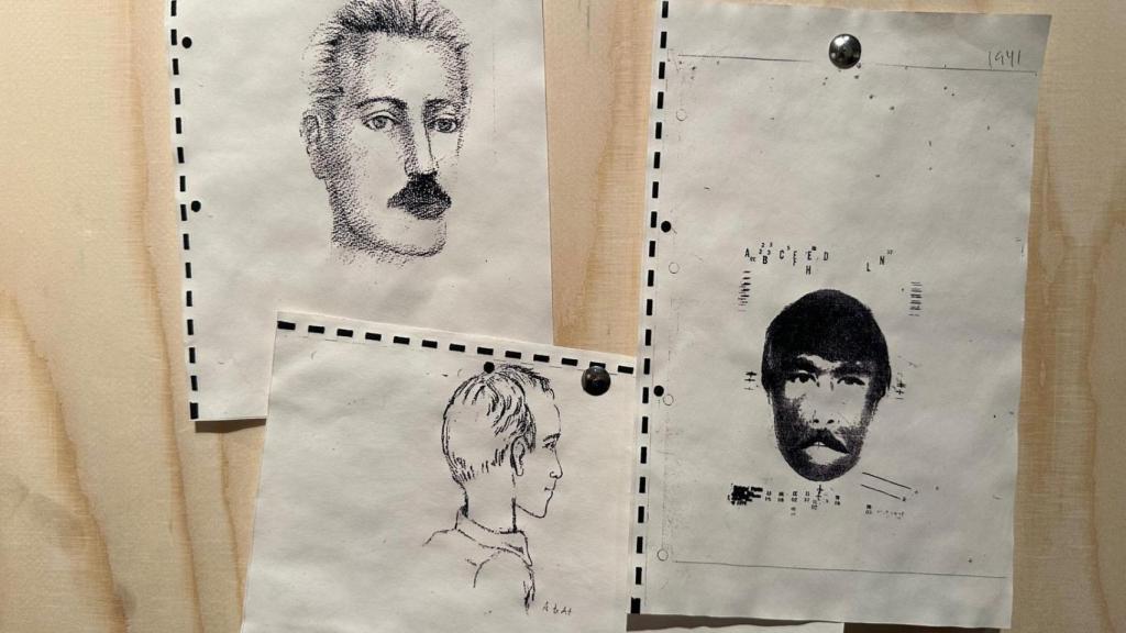 Retratos robot del sospechoso avistado por varios supervivientes del atentado de El Descando