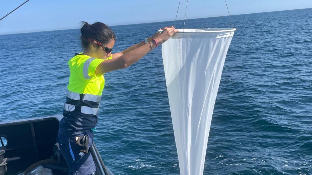 Pruebas en el agua en el entorno de Demosath
