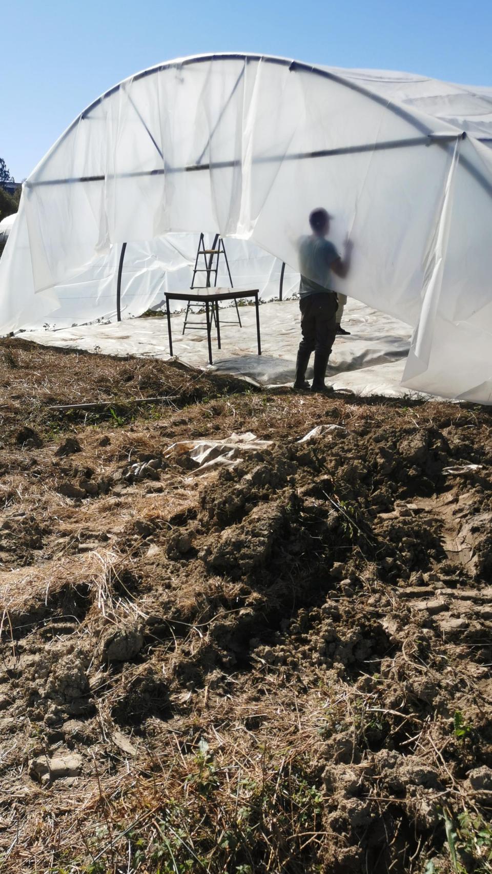 Imagen de Antoine durante la instalación de un invernadero