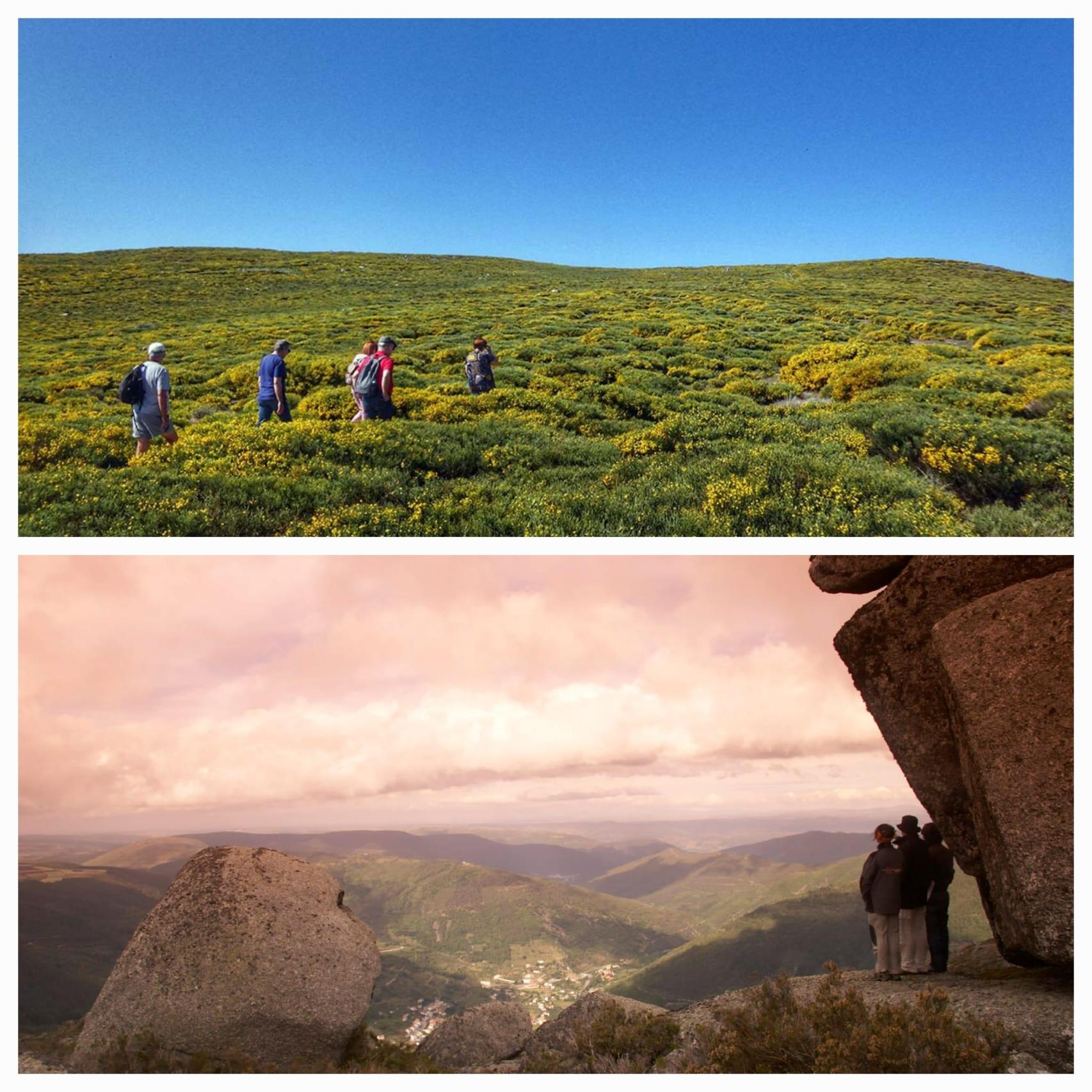 Rutas y paisajes / A. VIRI