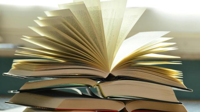 Recomendaciones literarias del Día del Libro.