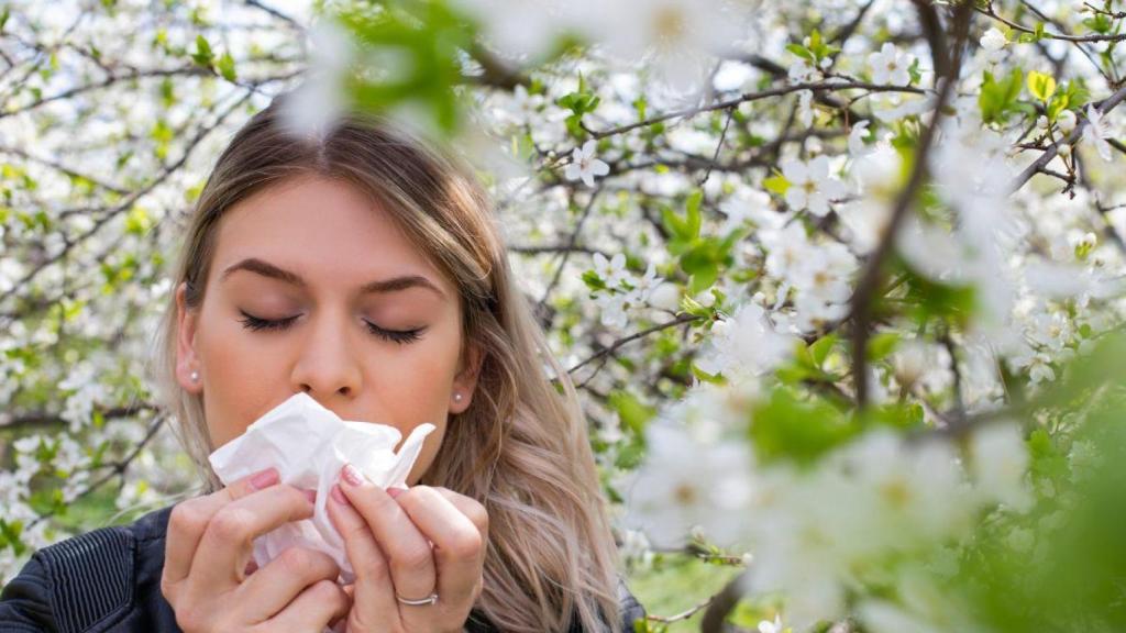 Profesionales sanitarios destacan que las alergias podrían persistir todo el año por el cambio climático y la contaminación