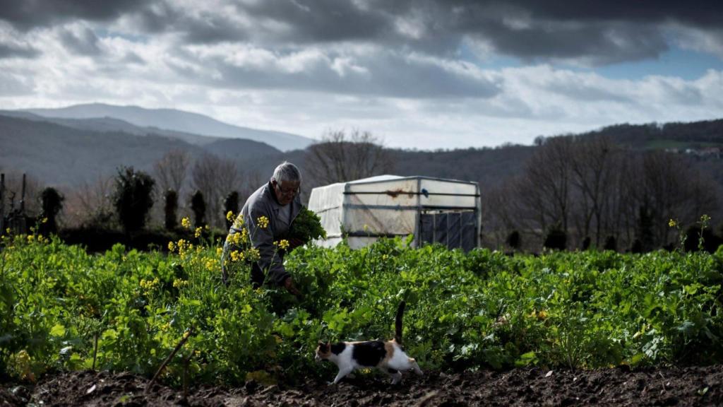 Persona mayor en un ambiente rural