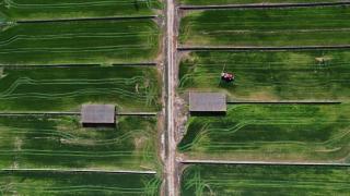 Más de un 40% de las explotaciones agrarias a las puertas de la jubilación no tiene relevo