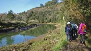 Captura de pantalla 2025-05-19 115929