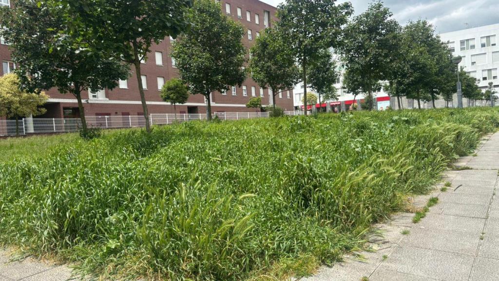 Situación de un jardín del barrio vitoriano de Salburua al vencer el primer mes de huelga