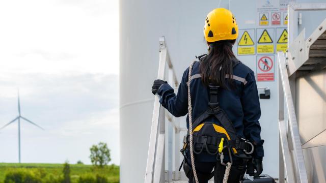 Blackstone sirve de precedente para dificultar la instalación de otros parques eólicos.