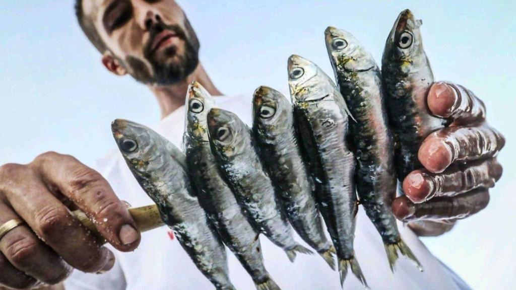 Espetos / Turismo Málaga