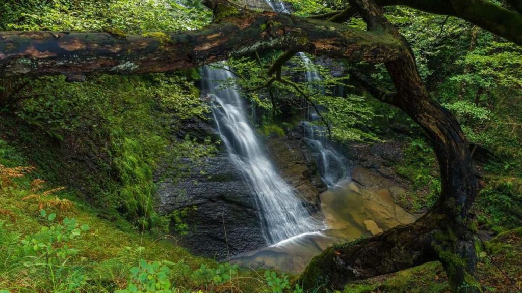 Una cascada de Euskadi.