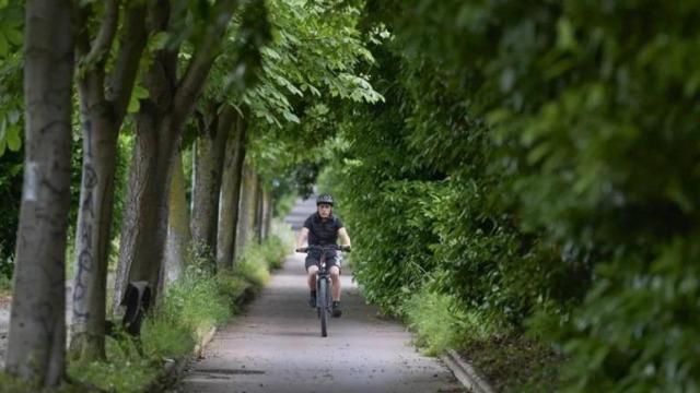 Un carril bici es invadido por la vegetación en Vitoria
