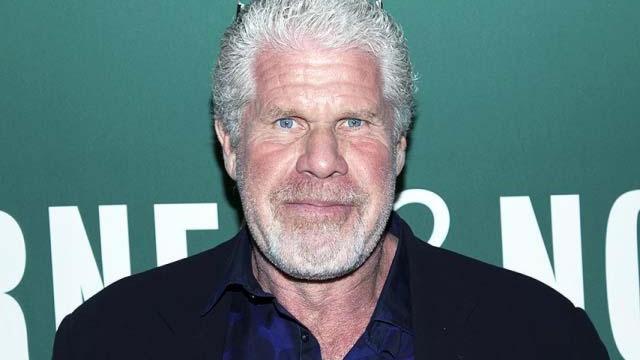 El actor de Hollywood, Ron Perlman.
