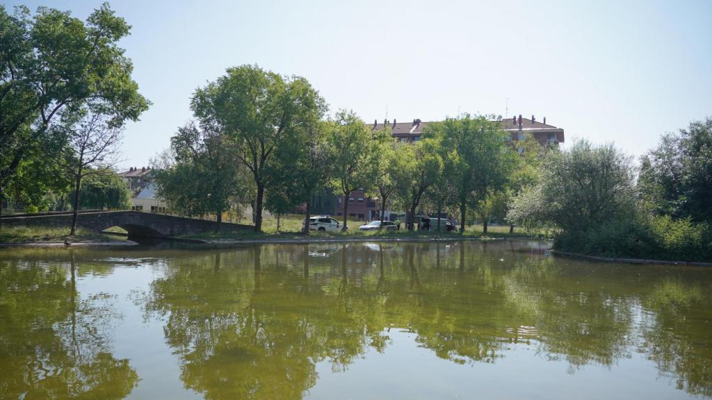 El estanque del parque de San Martín donde se ha localizado el cuerpo sin vida del hombre
