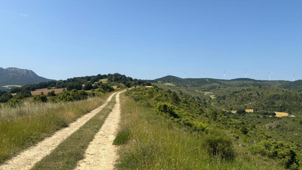 Ubicación donde se instalaría el primero de los ocho aerogeneradores