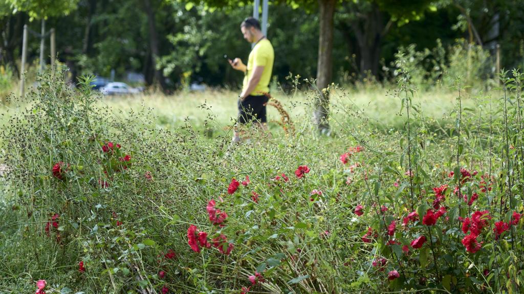 El parque de Aranbizkarra de Vitoria a 25 de junio de 2025