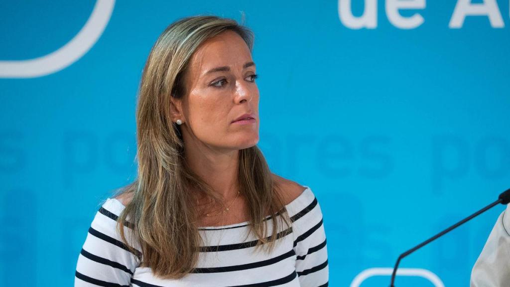 La diputada del Partido Popular Carmen Navarro.