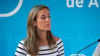 La diputada del Partido Popular Carmen Navarro.