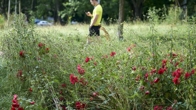 Estado del parque de Aranbizkarra de Vitoria a 25 de junio de 2025